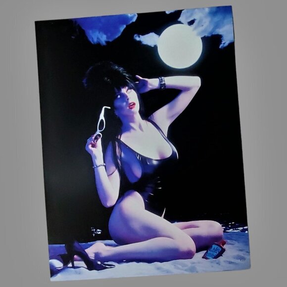 Elvira Other - ELVIRA Mistress Of The Dark Wall Poster Halloween Vampire Decor